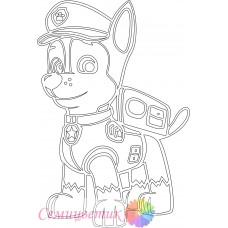 Гонщик